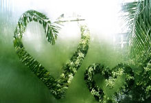 卡塔尔和伊朗的足球对决有哪些看点？