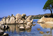 哪里能免费观看欧洲杯决赛直播？这些渠道和技巧你要知道